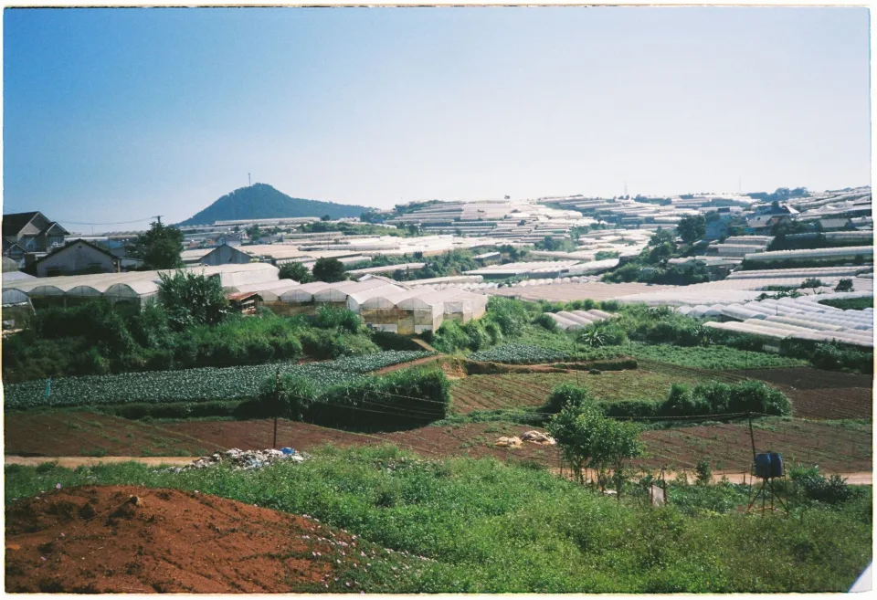 Toàn cảnh vườn